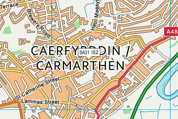 SA31 1EZ map - OS VectorMap District (Ordnance Survey)