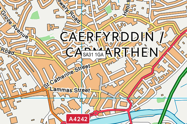 SA31 1GA map - OS VectorMap District (Ordnance Survey)