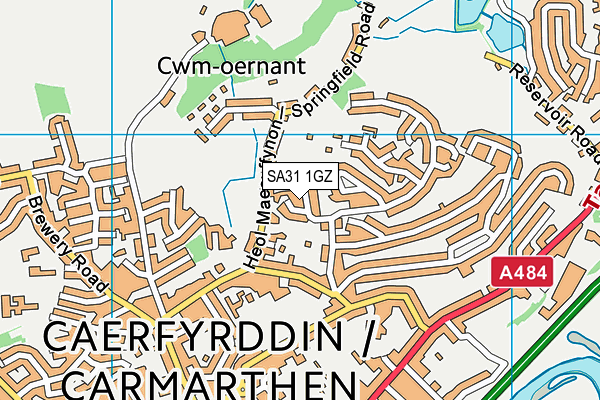 SA31 1GZ map - OS VectorMap District (Ordnance Survey)