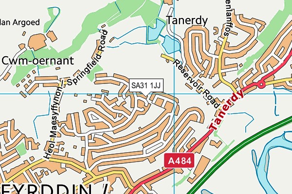 SA31 1JJ map - OS VectorMap District (Ordnance Survey)