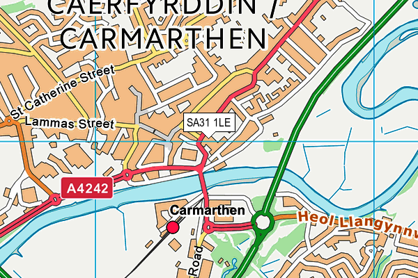 SA31 1LE map - OS VectorMap District (Ordnance Survey)