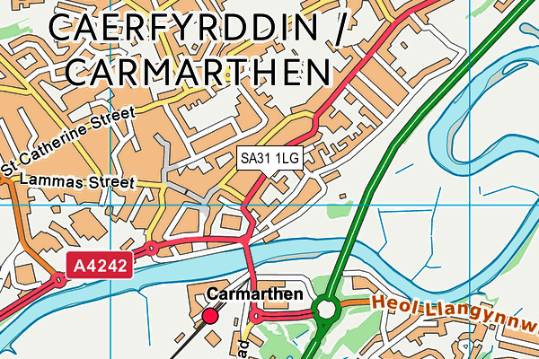 SA31 1LG map - OS VectorMap District (Ordnance Survey)