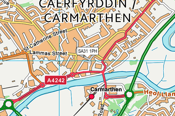 SA31 1PH map - OS VectorMap District (Ordnance Survey)