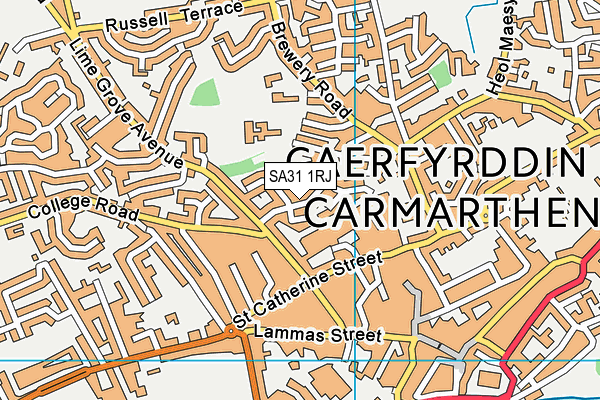 SA31 1RJ map - OS VectorMap District (Ordnance Survey)