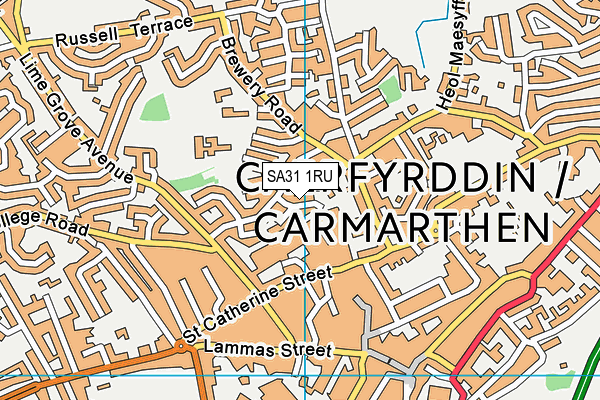 SA31 1RU map - OS VectorMap District (Ordnance Survey)