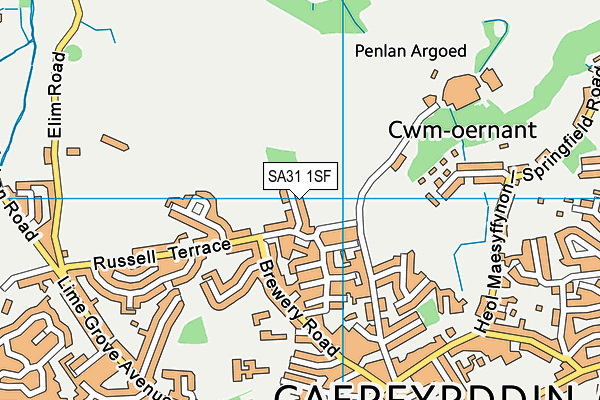 SA31 1SF map - OS VectorMap District (Ordnance Survey)