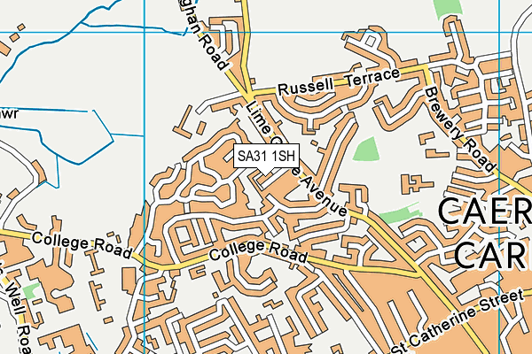 SA31 1SH map - OS VectorMap District (Ordnance Survey)