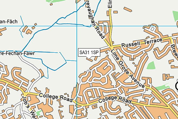 SA31 1SP map - OS VectorMap District (Ordnance Survey)