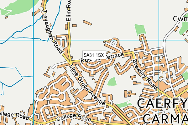 SA31 1SX map - OS VectorMap District (Ordnance Survey)