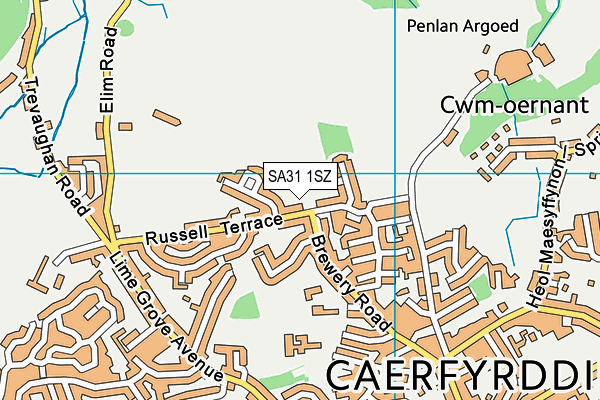 SA31 1SZ map - OS VectorMap District (Ordnance Survey)