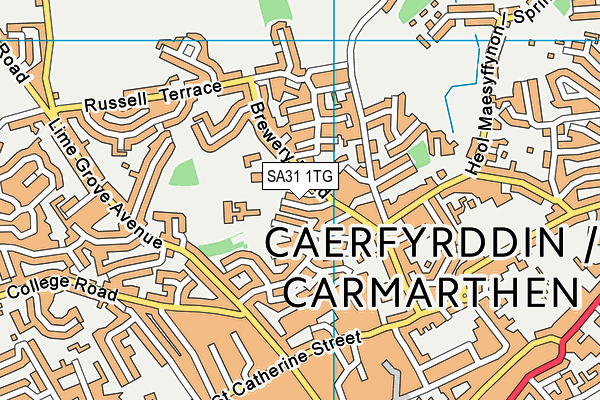 Ysgol y Dderwen map (SA31 1TG) - OS VectorMap District (Ordnance Survey)