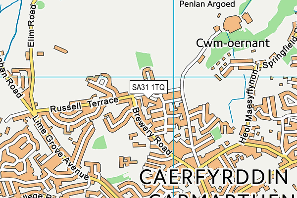 SA31 1TQ map - OS VectorMap District (Ordnance Survey)