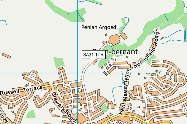 SA31 1TR map - OS VectorMap District (Ordnance Survey)