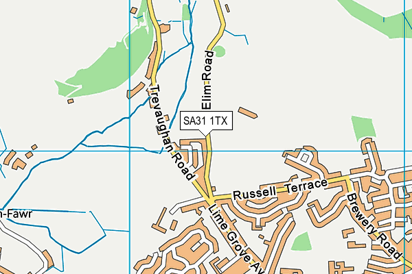 SA31 1TX map - OS VectorMap District (Ordnance Survey)