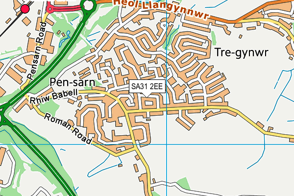 SA31 2EE map - OS VectorMap District (Ordnance Survey)