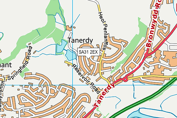 SA31 2EX map - OS VectorMap District (Ordnance Survey)