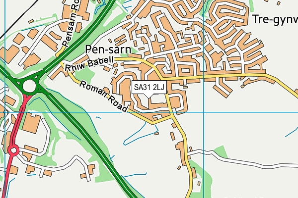 SA31 2LJ map - OS VectorMap District (Ordnance Survey)
