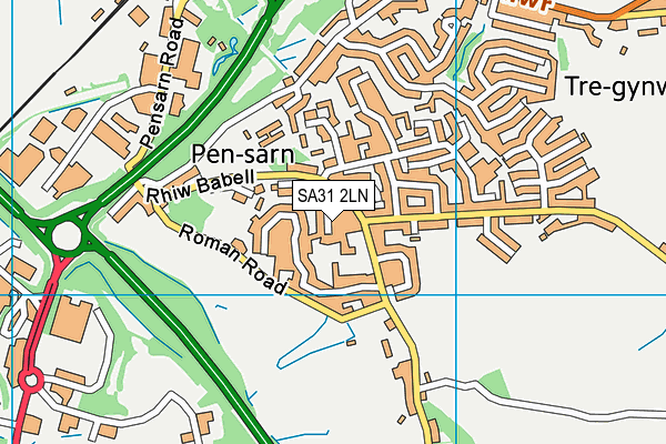 SA31 2LN map - OS VectorMap District (Ordnance Survey)