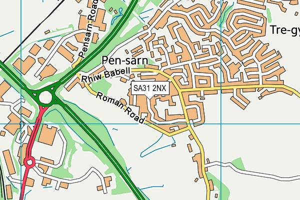 SA31 2NX map - OS VectorMap District (Ordnance Survey)