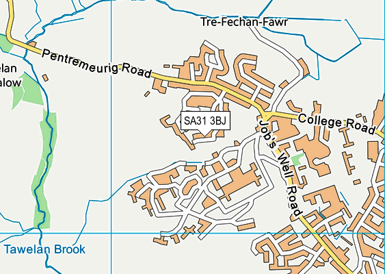 SA31 3BJ map - OS VectorMap District (Ordnance Survey)