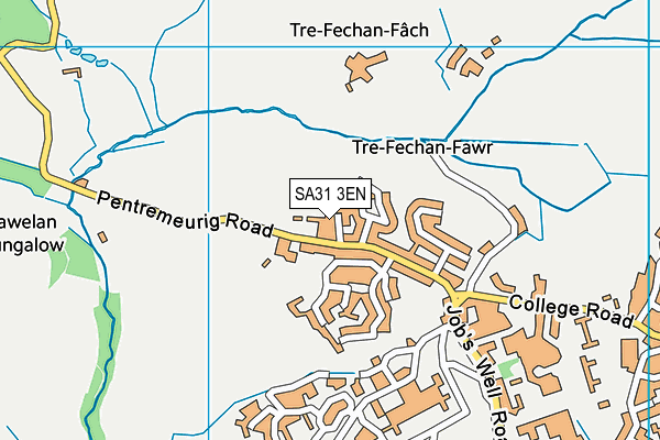 SA31 3EN map - OS VectorMap District (Ordnance Survey)