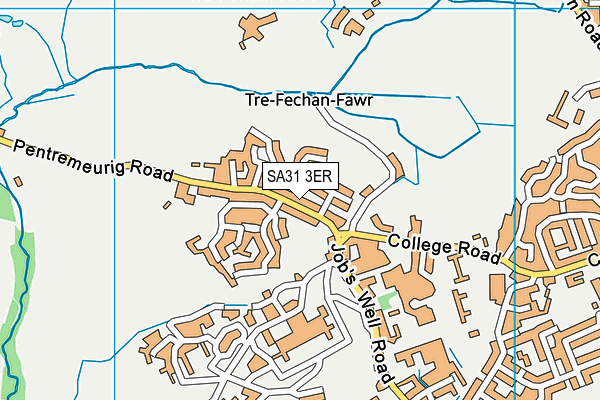 SA31 3ER map - OS VectorMap District (Ordnance Survey)