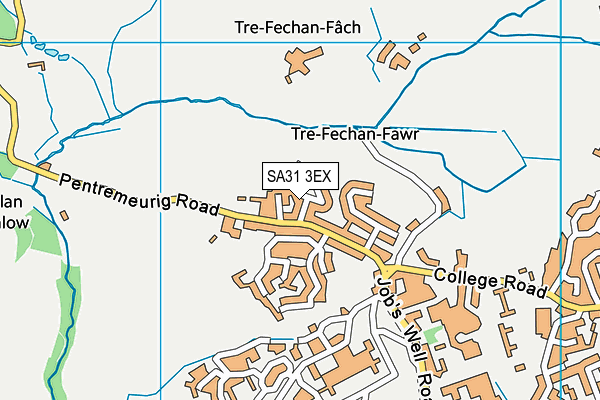 SA31 3EX map - OS VectorMap District (Ordnance Survey)