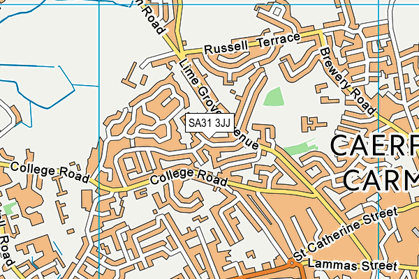 SA31 3JJ map - OS VectorMap District (Ordnance Survey)