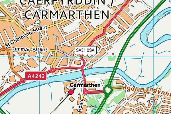 SA31 9SA map - OS VectorMap District (Ordnance Survey)