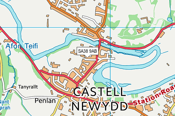Ysgol Y Ddwylan map (SA38 9AB) - OS VectorMap District (Ordnance Survey)