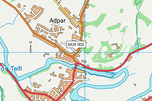 SA38 9DS map - OS VectorMap District (Ordnance Survey)