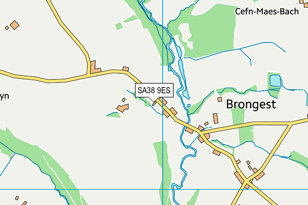 SA38 9ES map - OS VectorMap District (Ordnance Survey)