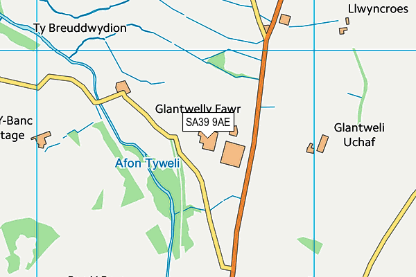 SA39 9AE map - OS VectorMap District (Ordnance Survey)