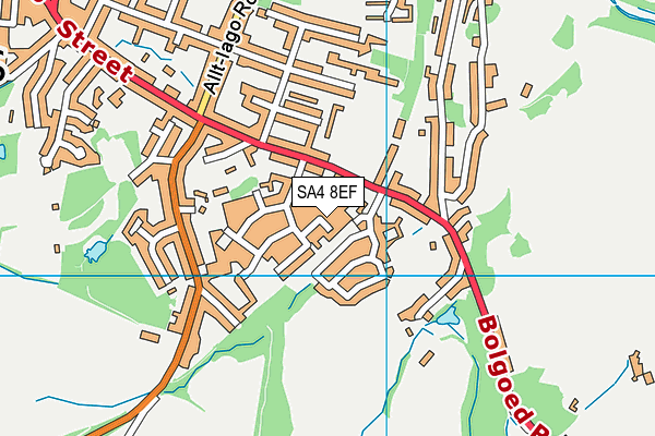 SA4 8EF map - OS VectorMap District (Ordnance Survey)