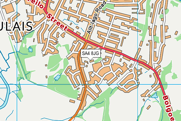SA4 8JG map - OS VectorMap District (Ordnance Survey)