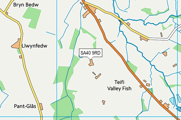 SA40 9RD map - OS VectorMap District (Ordnance Survey)