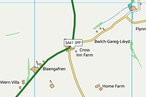 SA41 3PP map - OS VectorMap District (Ordnance Survey)