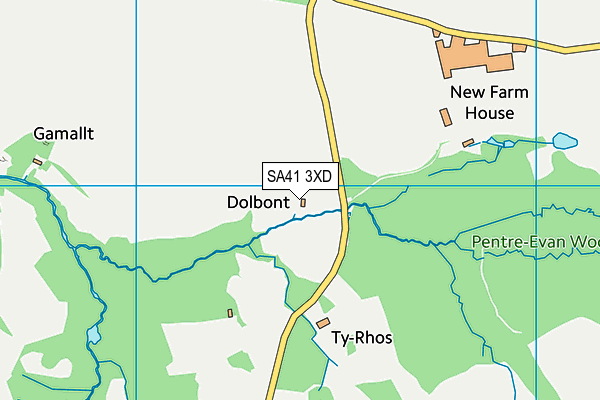 SA41 3XD map - OS VectorMap District (Ordnance Survey)