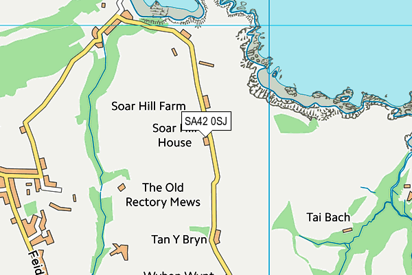 SA42 0SJ map - OS VectorMap District (Ordnance Survey)