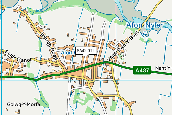Ysgol Bro Ingli map (SA42 0TL) - OS VectorMap District (Ordnance Survey)