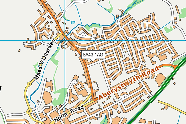 SA43 1AG map - OS VectorMap District (Ordnance Survey)