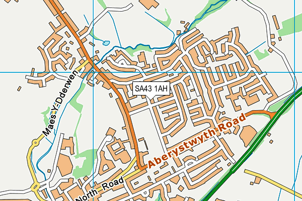 SA43 1AH map - OS VectorMap District (Ordnance Survey)