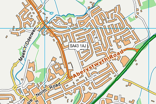 SA43 1AJ map - OS VectorMap District (Ordnance Survey)