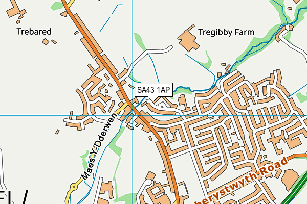 SA43 1AP map - OS VectorMap District (Ordnance Survey)