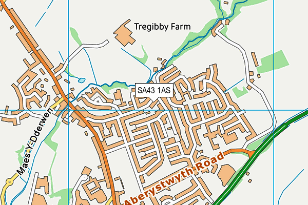 SA43 1AS map - OS VectorMap District (Ordnance Survey)