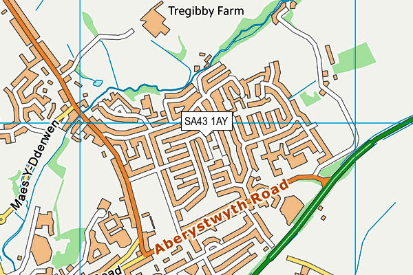 SA43 1AY map - OS VectorMap District (Ordnance Survey)