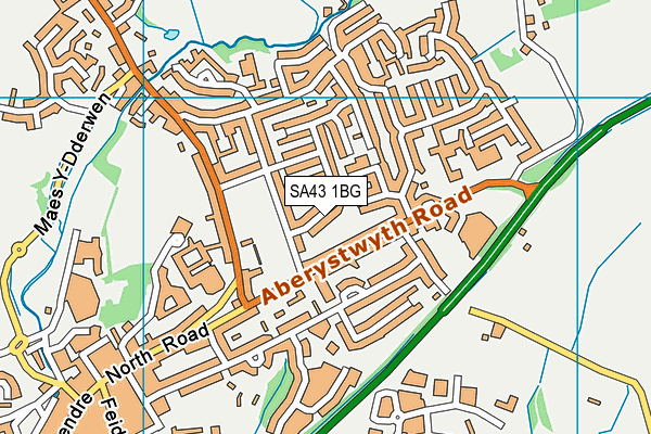 SA43 1BG map - OS VectorMap District (Ordnance Survey)