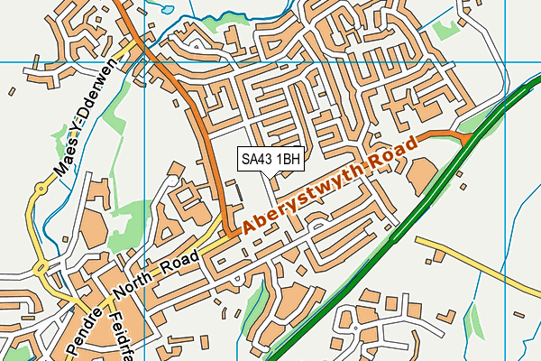 SA43 1BH map - OS VectorMap District (Ordnance Survey)