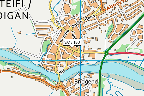 SA43 1BU map - OS VectorMap District (Ordnance Survey)