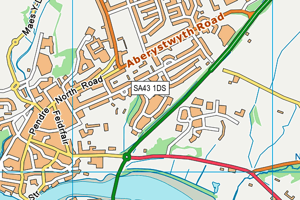 SA43 1DS map - OS VectorMap District (Ordnance Survey)